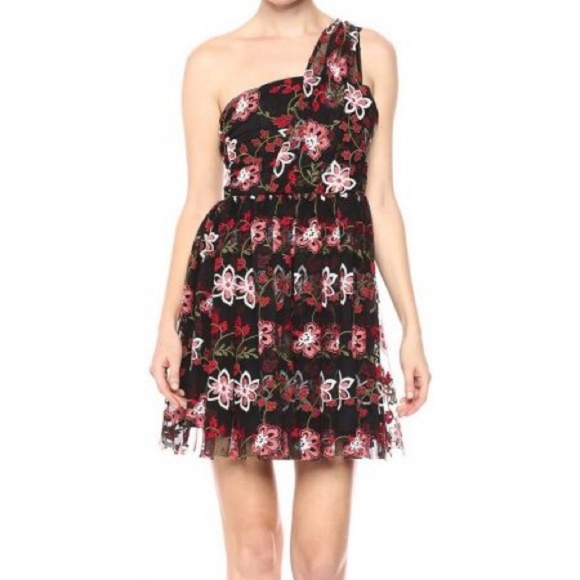 NWT, BCBGeneration Embroidered Tulle Dress - Picture 3 of 16